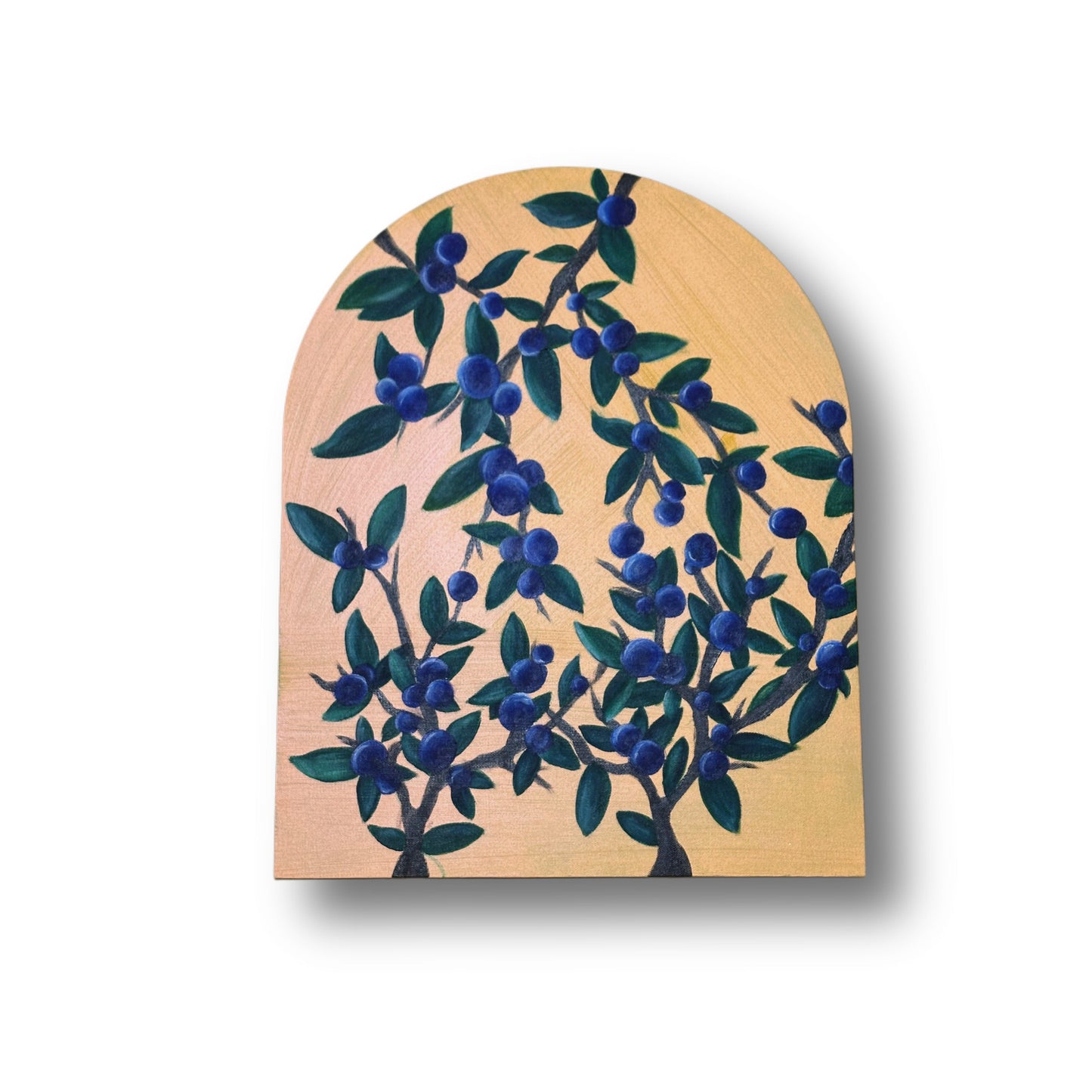 Blueberries - Bragg About It Artistry