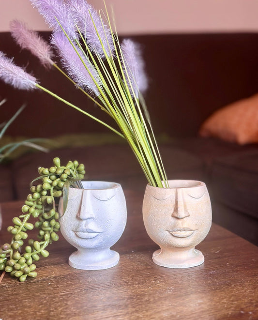 Facial Planters - Bragg About It Artistry
