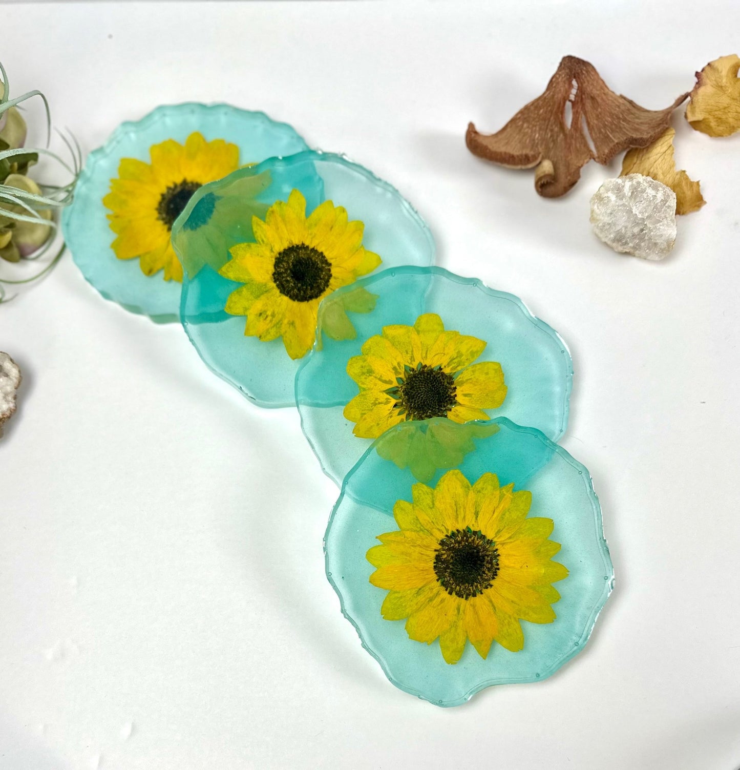 Sunflower Coasters - Bragg About It Artistry